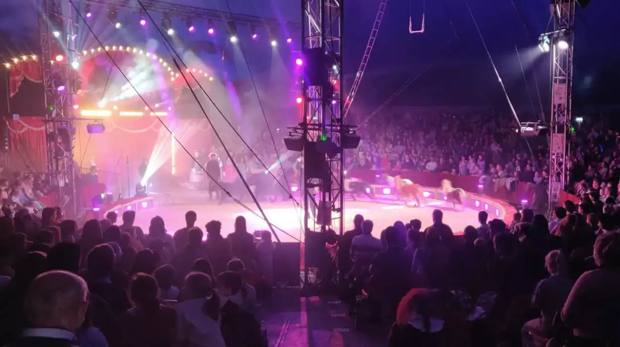 29th ‘Sint in de Piste’ Circus Draws 12,000 Visitors in Sint-Niklaas
