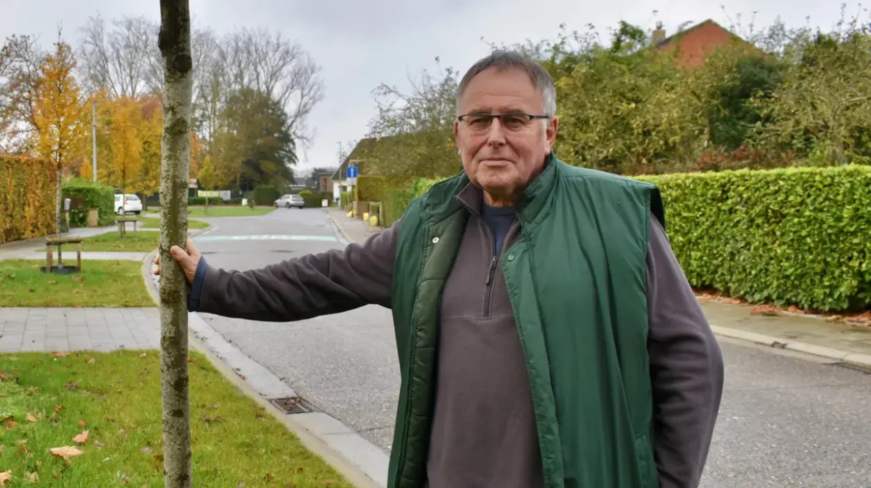 Bruges Flea Market Canceled: Johan Vancoillie Cites Safety Concerns During Redevelopment