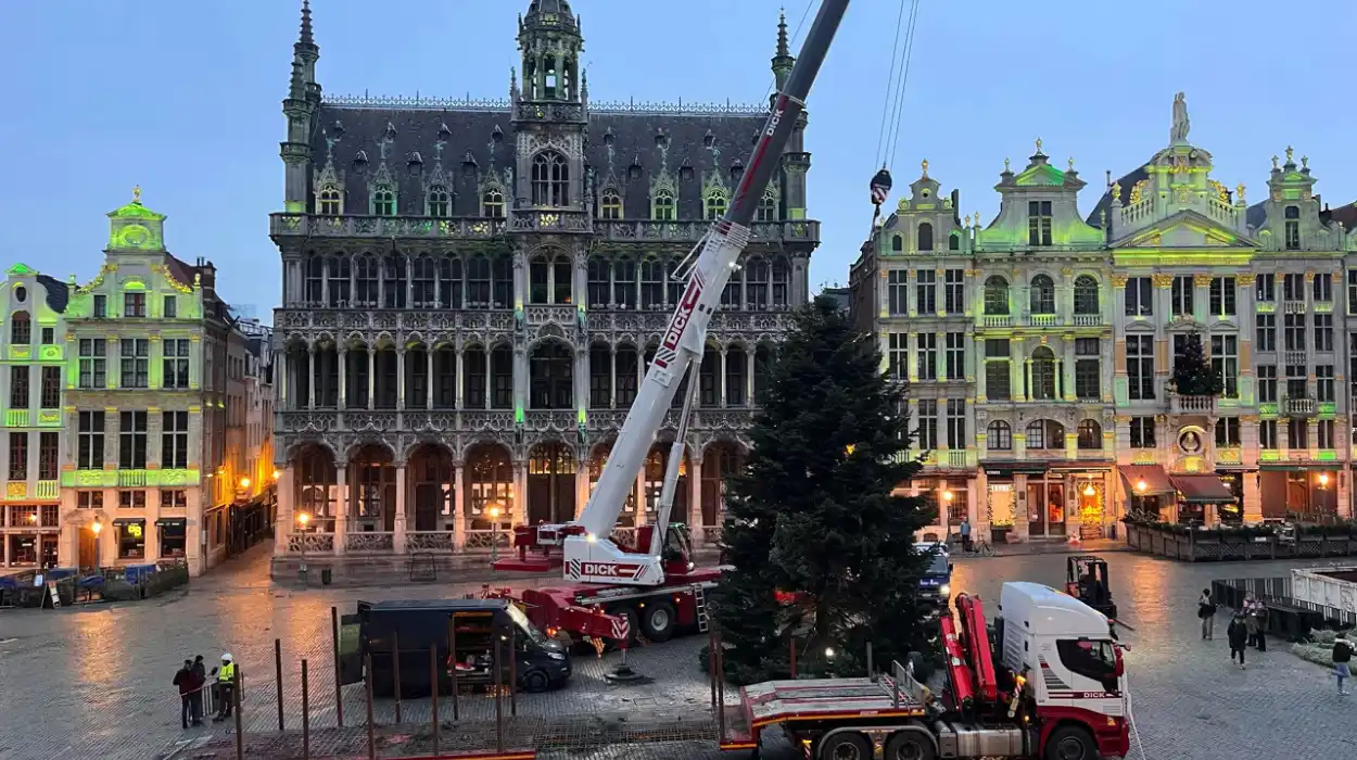 Brussels Unveils 22-Meter Christmas Tree: Pierre Demesmaeker Kicks Off the Festive Season