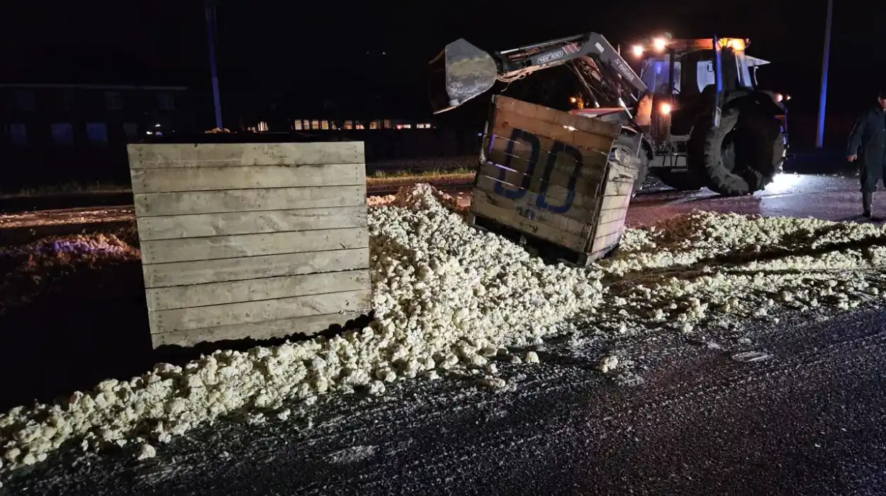 Cauliflower Spill Disrupts Traffic on Ypres-Poperinge Route; No Injuries Reported