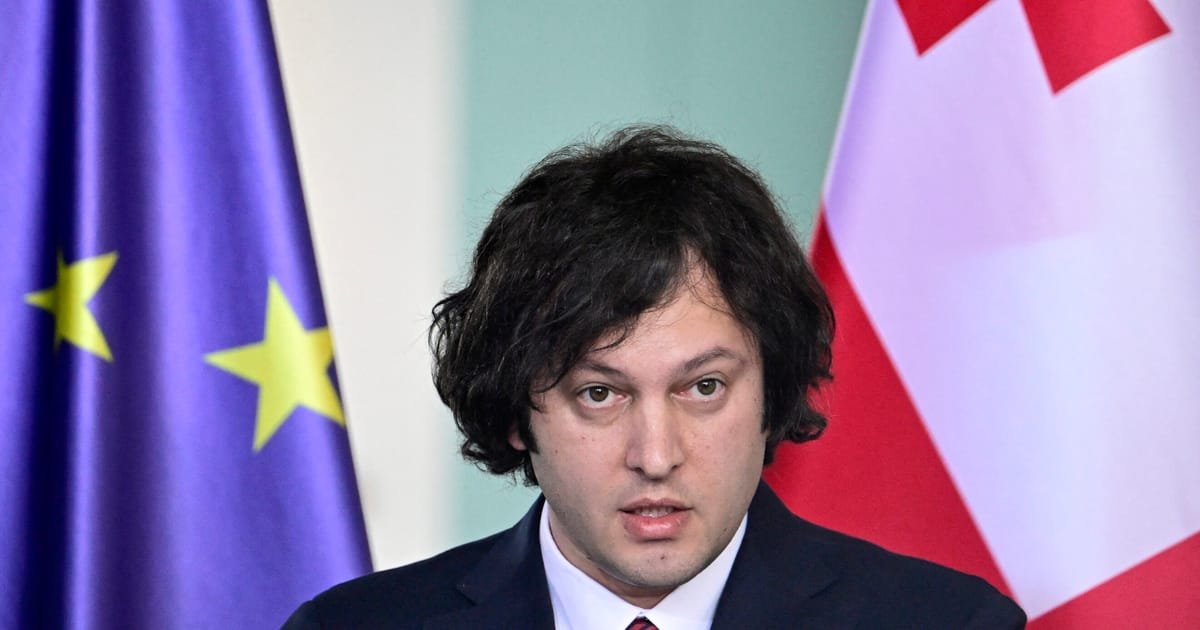 Georgia Pauses EU Accession Efforts
