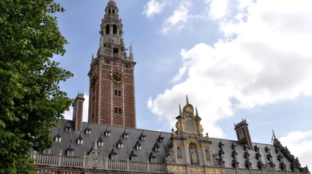 KU Leuven’s Historic Library: Celebrating a Decade of Public Access and Cultural Renaissance