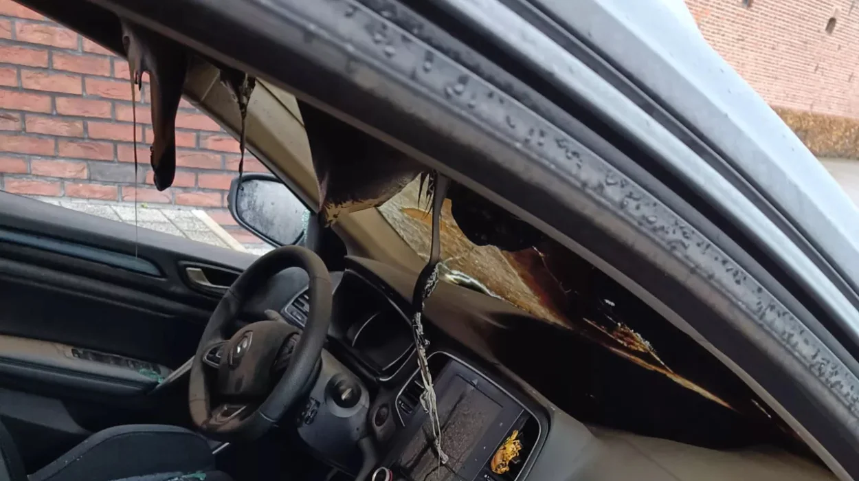 Leuven Guard’s Car Targeted in Firebombing: VSOA’s Eddy De Smedt Raises Alarm Over Escalating Violence