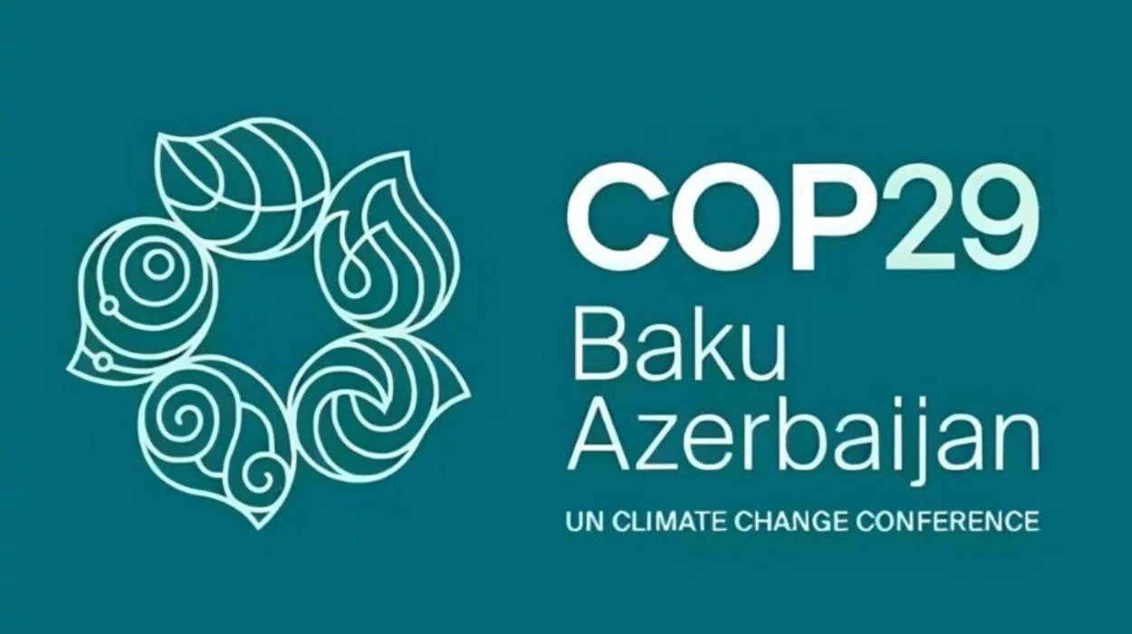 MEPs Call for Global Collaboration on Climate Finance at COP29