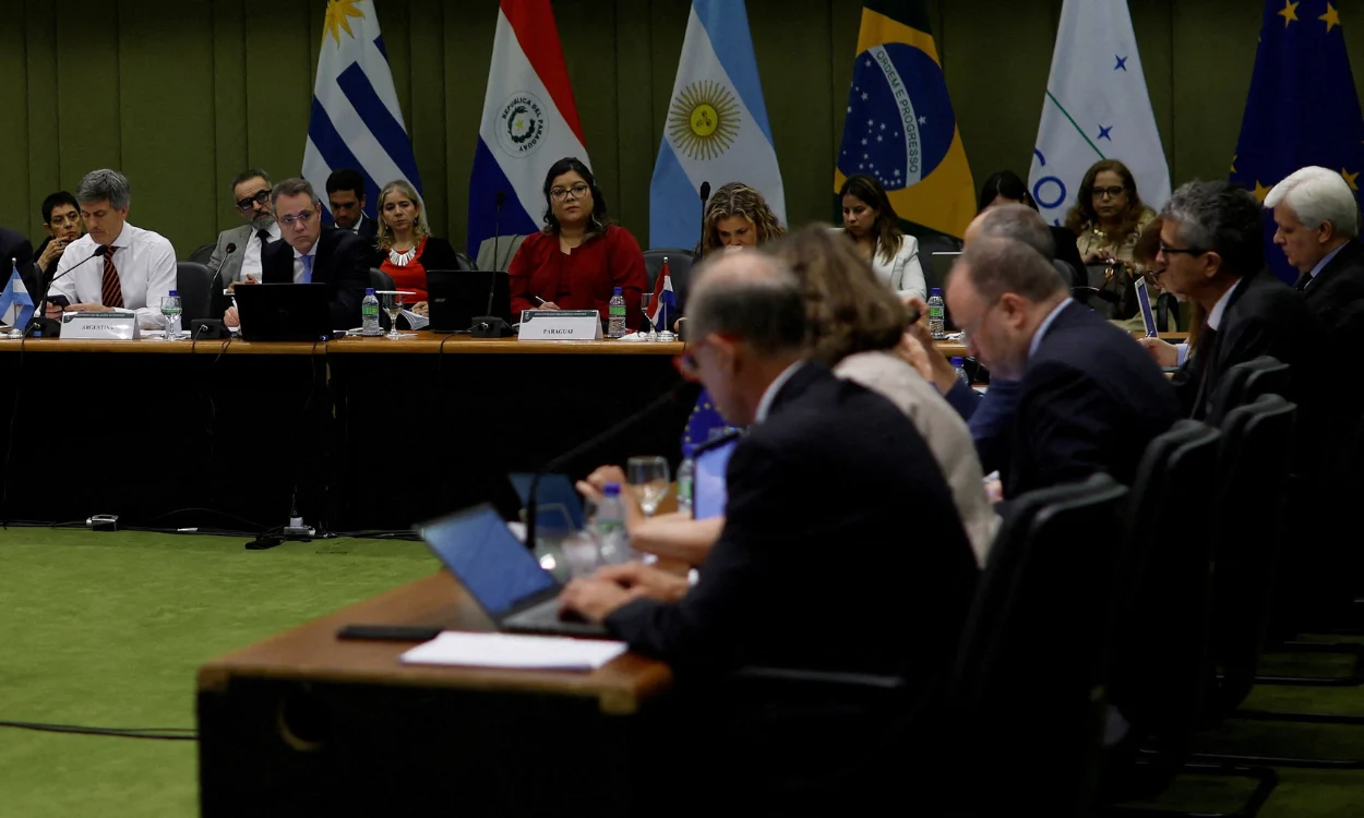 Mercosur Trade Deal and Forest Destruction: Is This the Europe We Support?