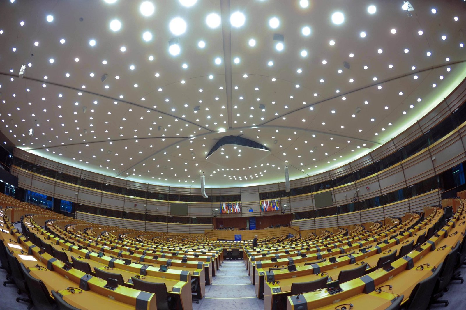TikTok Officials to Address European Parliament Next Week on Romanian Elections
