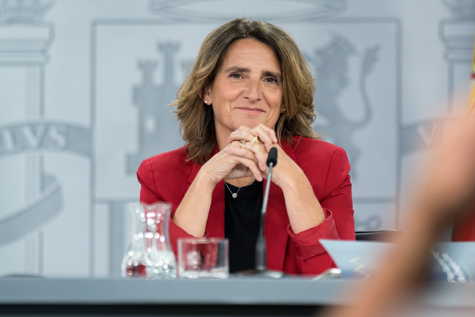 “Validation of the New European Commission Dives into Chaos”