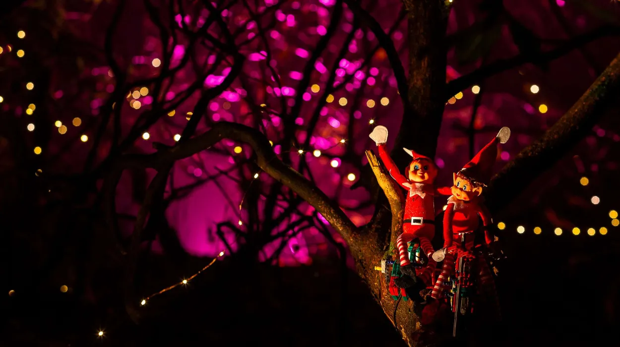 Winter Wonders in the Enchanting Setting of La Hulpe