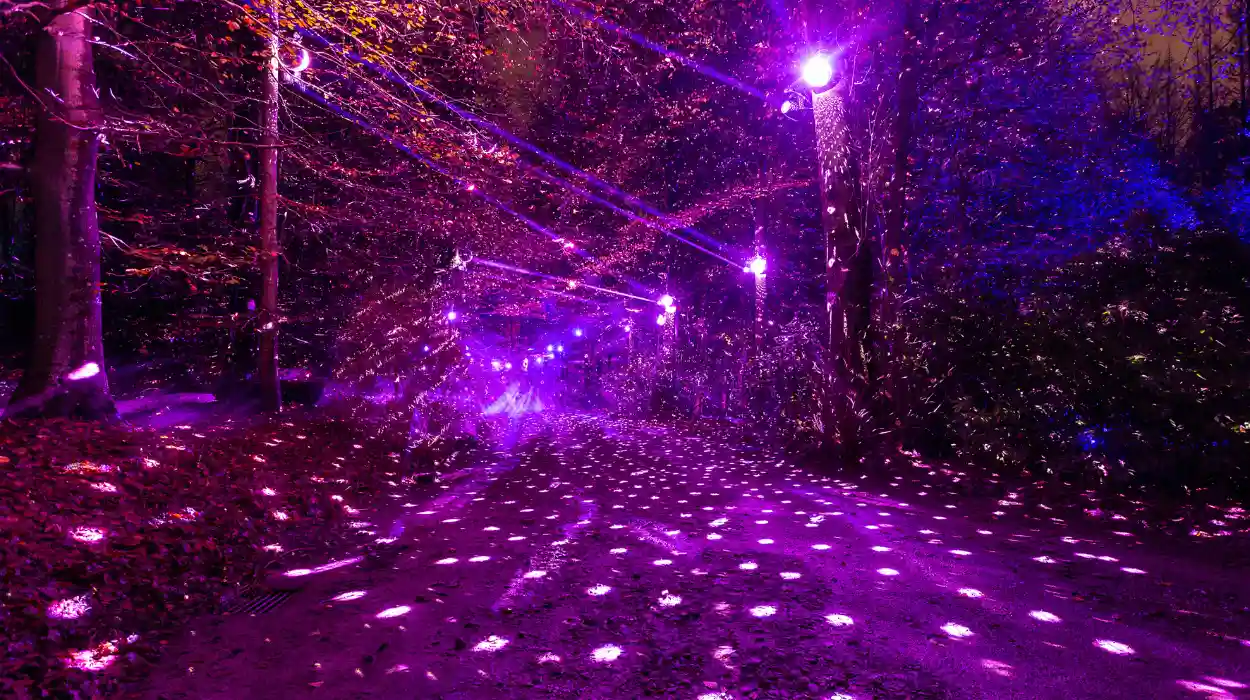 Winter Wonders in the Enchanting Setting of La Hulpe