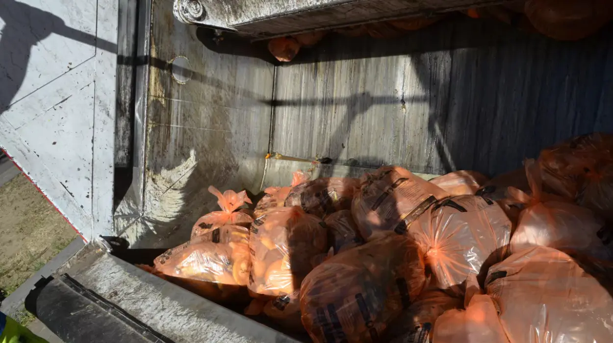 Brussels Boosts Food Waste Sorting, Targets 25,000 Tonnes After Reaching 21,593