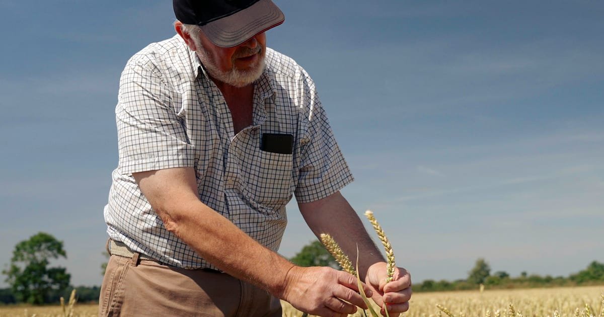 Collaboration: The Cornerstone of Achieving Regenerative Agriculture Goals