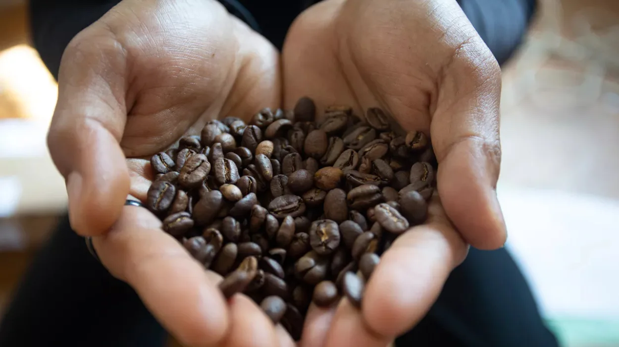 Colruyt Halts Douwe Egberts Coffee Orders Due to Price Increases