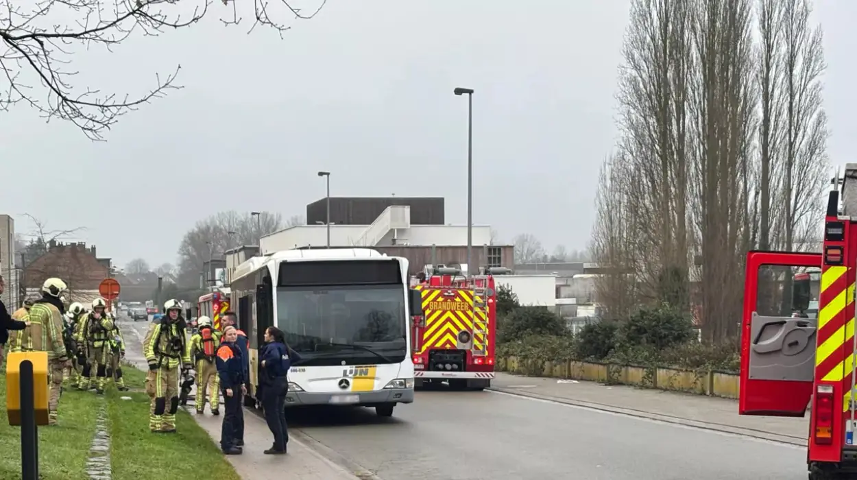 De Lijn Bus Catches Fire in Geraardsbergen, No Injuries Reported