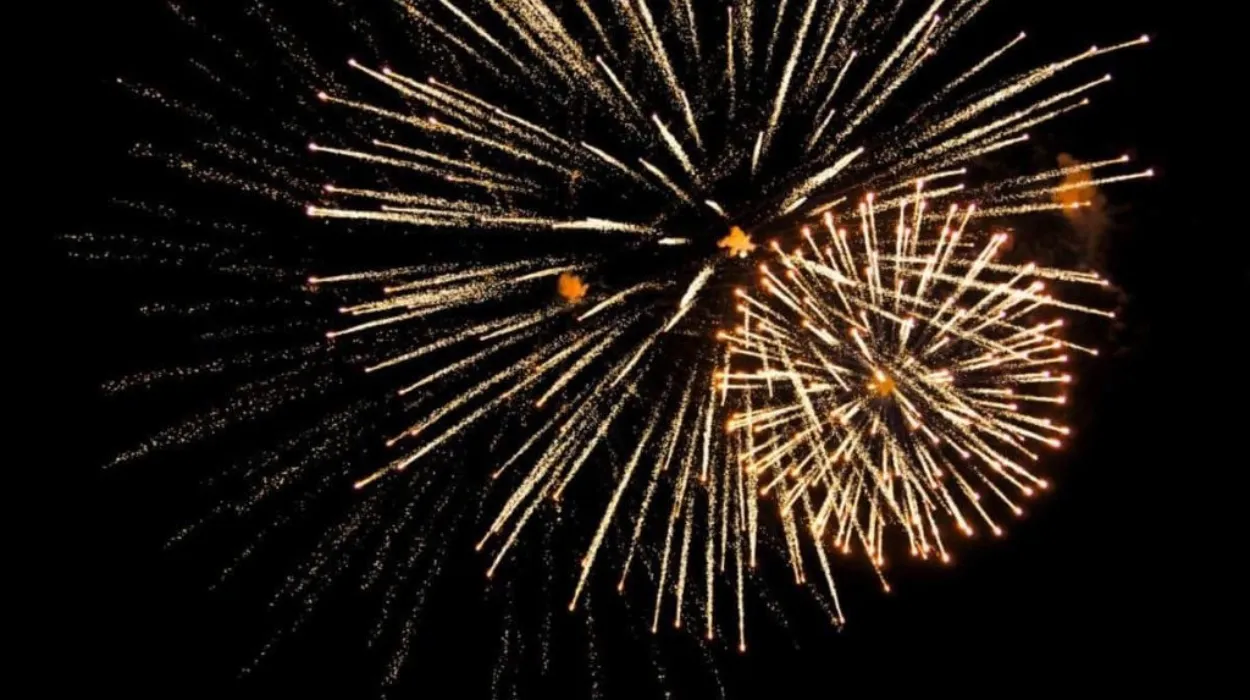 Dutch Authorities Confiscate 20 Kilos of Fireworks at Belgium Border