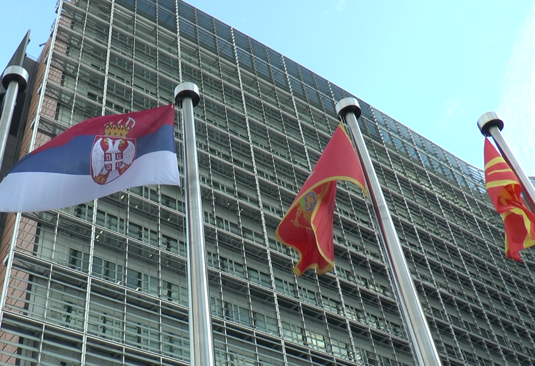 EK: WB Partners Support Visa-Free Regime Amid Threats from Georgia