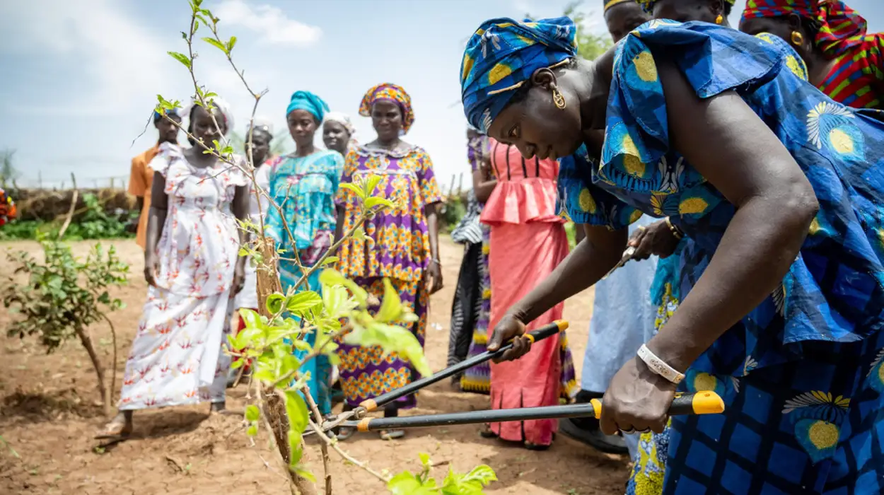 EU Commission Strengthens Africa’s Regreening Efforts with €15 Million Funding