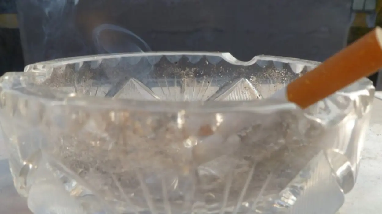 EU Commission Supports Stricter Smoke-Free Environment Rules