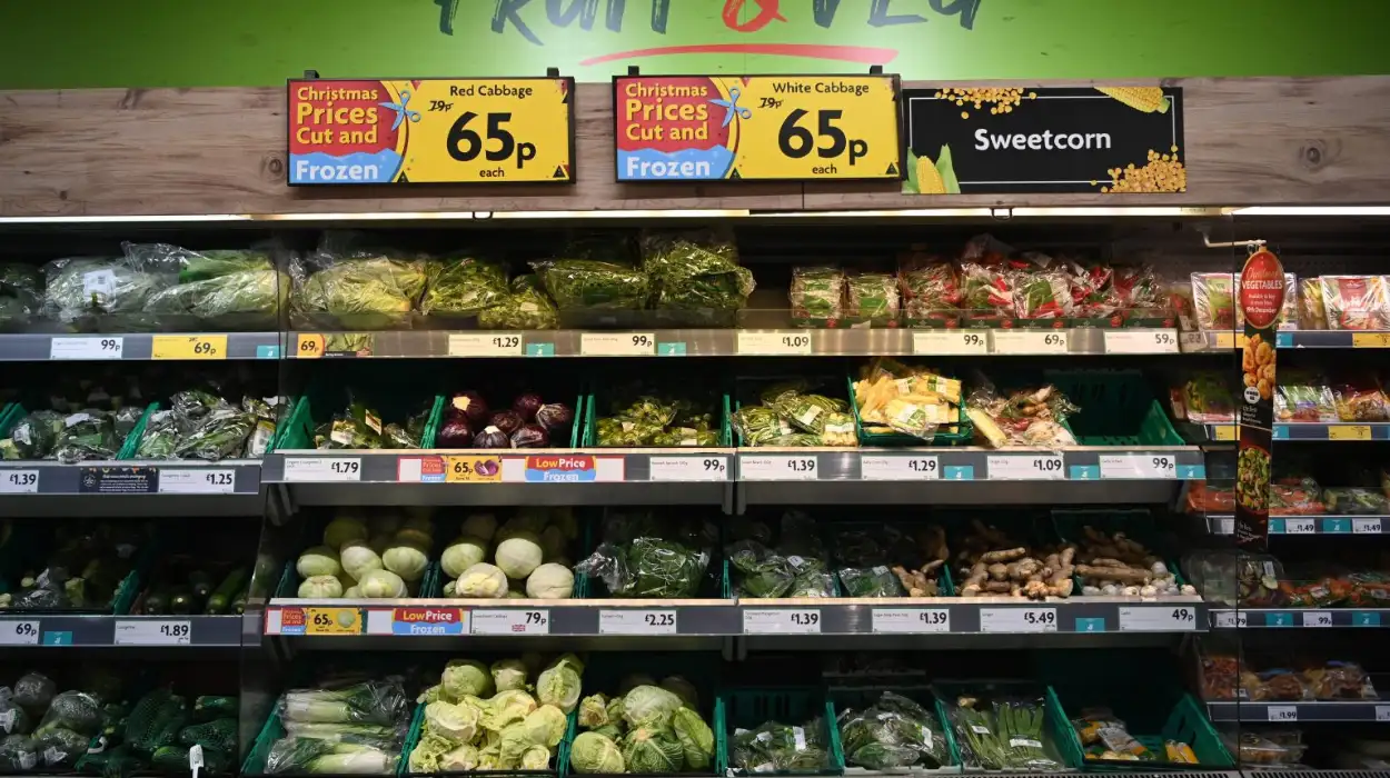 EU Commission Unveils Fresh Initiatives to Boost Agricultural Sector