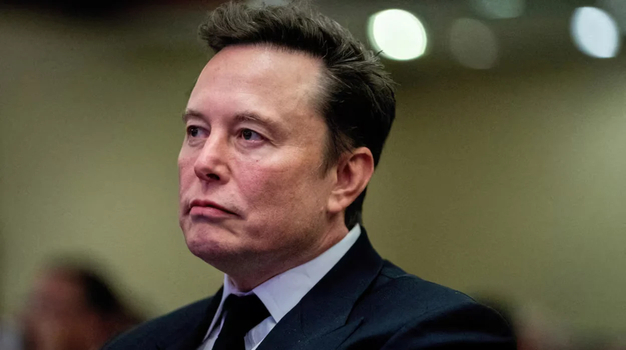 German Spokesperson Accuses Musk of Interfering in Election