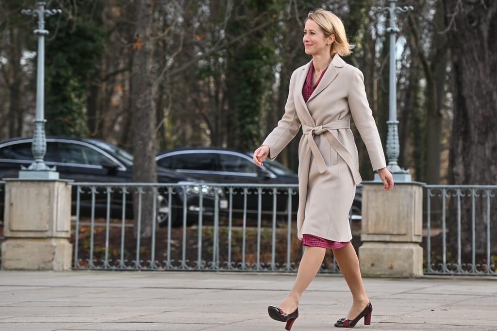 Kallas Fired Top EU Official, Sparking Discontent Among Governments