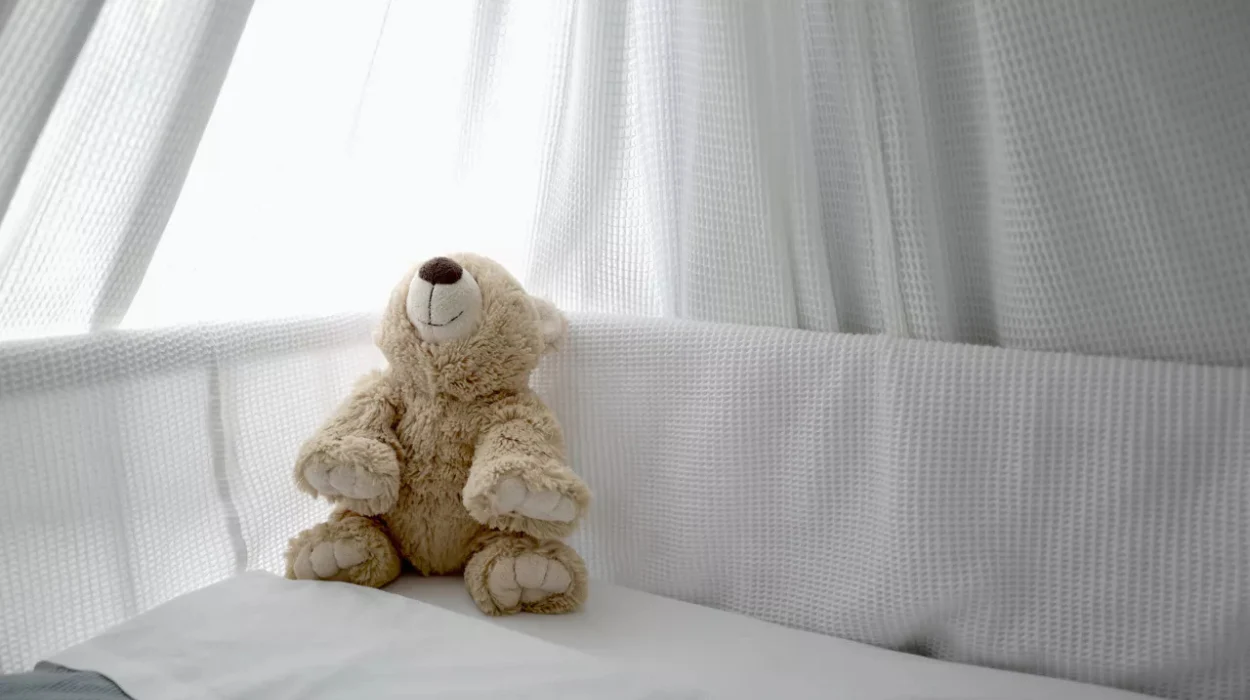 Ostend Introduces Star Register for Stillborn Babies with Support from Minister Crevits