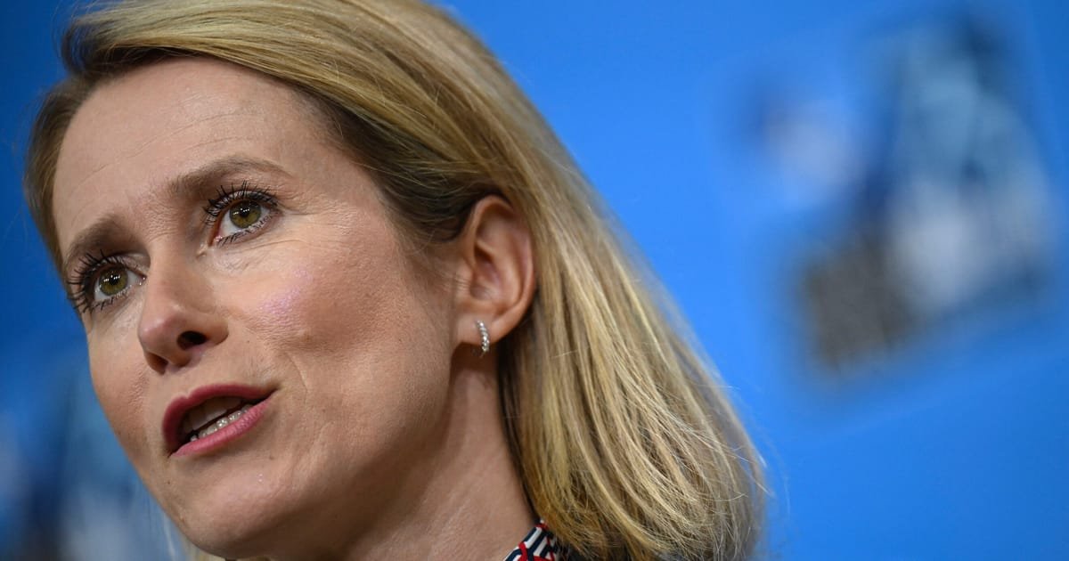 Russia Has Mastered Election Interference, Warns EU’s Top Diplomat