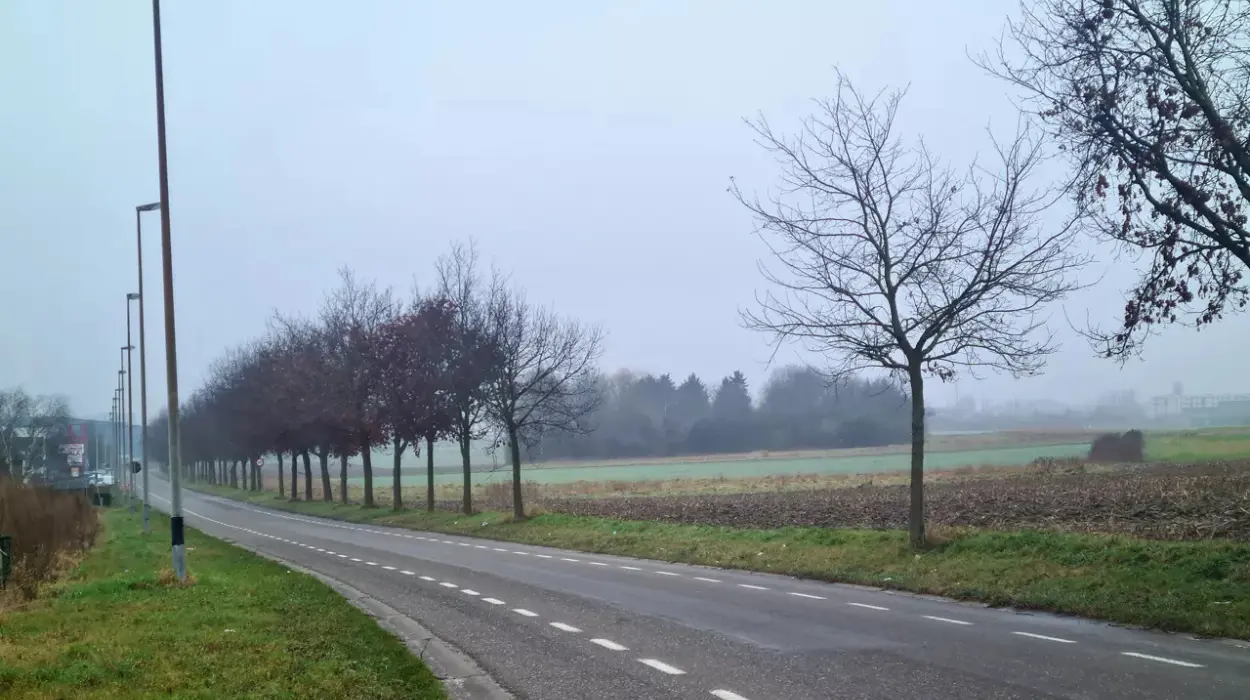 Tienen’s 47.5-Hectare Industrial Project Halted