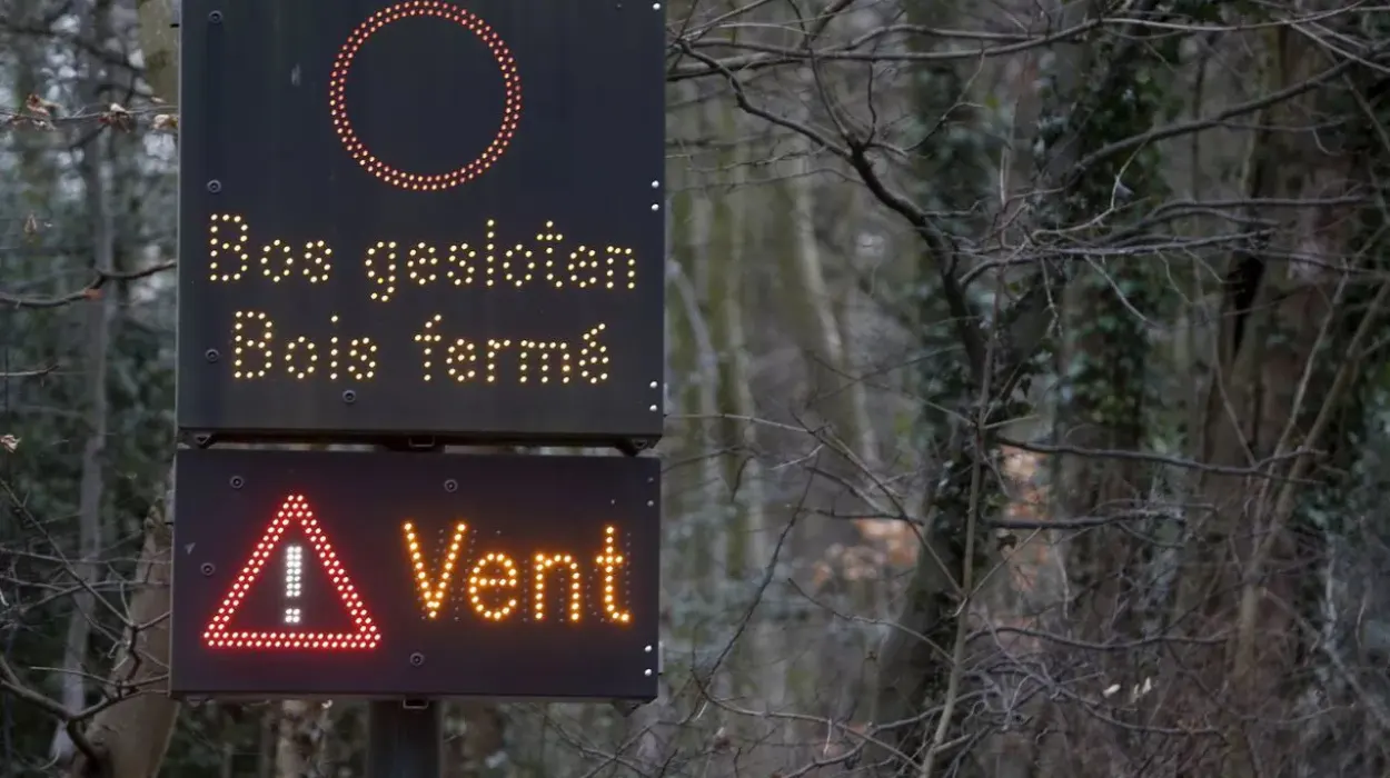 Belgium Braces for Severe Storm with Strong Winds and Heavy Rain