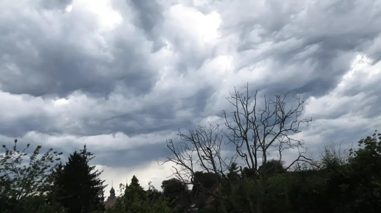 Belgium Braces for Windy, Rainy Weather and Snow in Early 2025