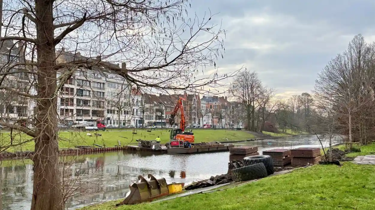 Bruges Launches €330K ‘t Stil Ende Project for Swan Conservation and Environmental Protection