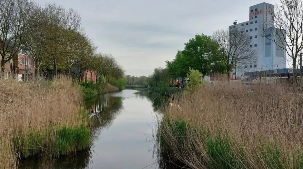 Eeklo Launches Swimming Pilot Project at Kop van de Vaart