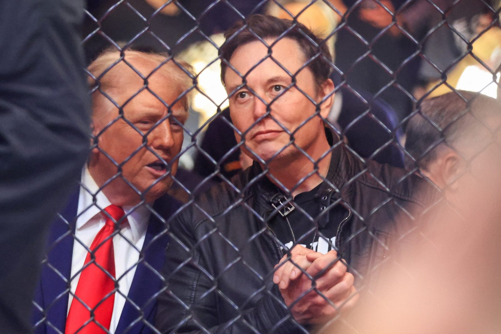 EU Highlights Musk’s Freedom to Debate with German Far-Right on X