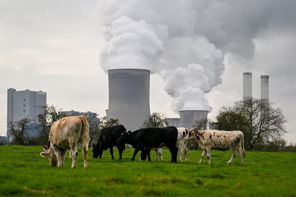 EU’s New Economic Vision Addresses Green Deal Critics
