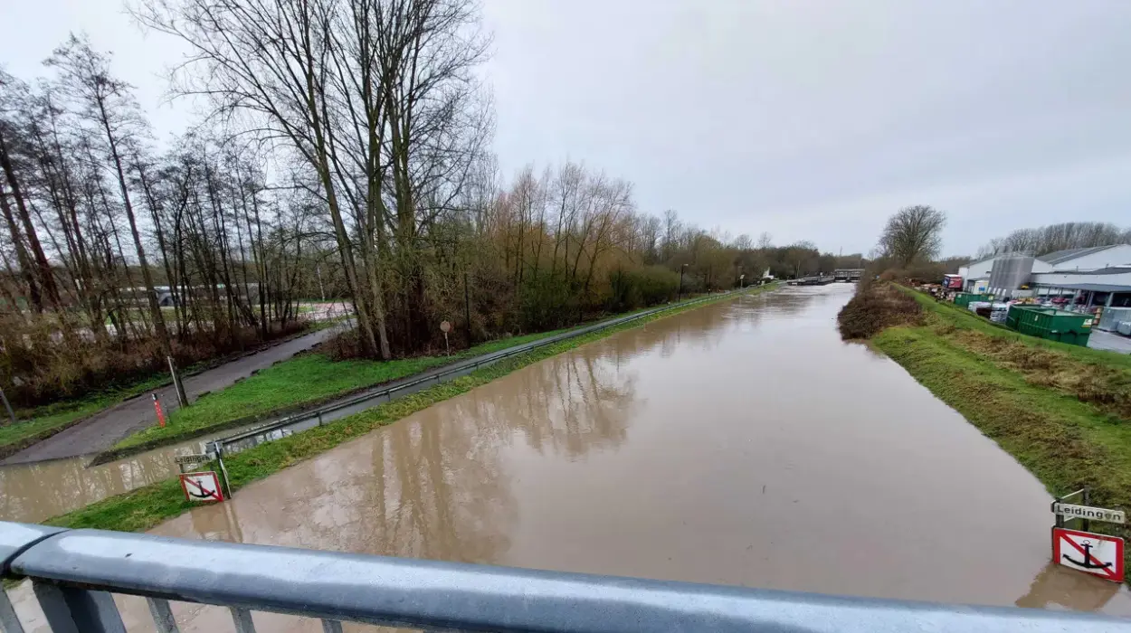 Flood Warnings Announced for Rivers in Wallonia and Flanders