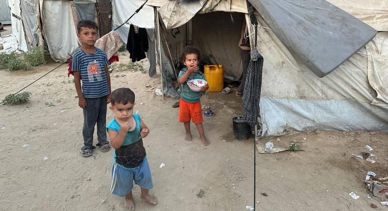 Gaza: ‘Each Day Without a Ceasefire Brings Greater Tragedy’