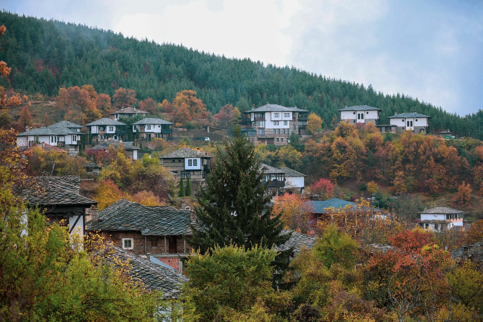 High-Speed Internet Access Provided to Over 350,000 Bulgarians in Remote Areas Through EU-Funded Initiative
