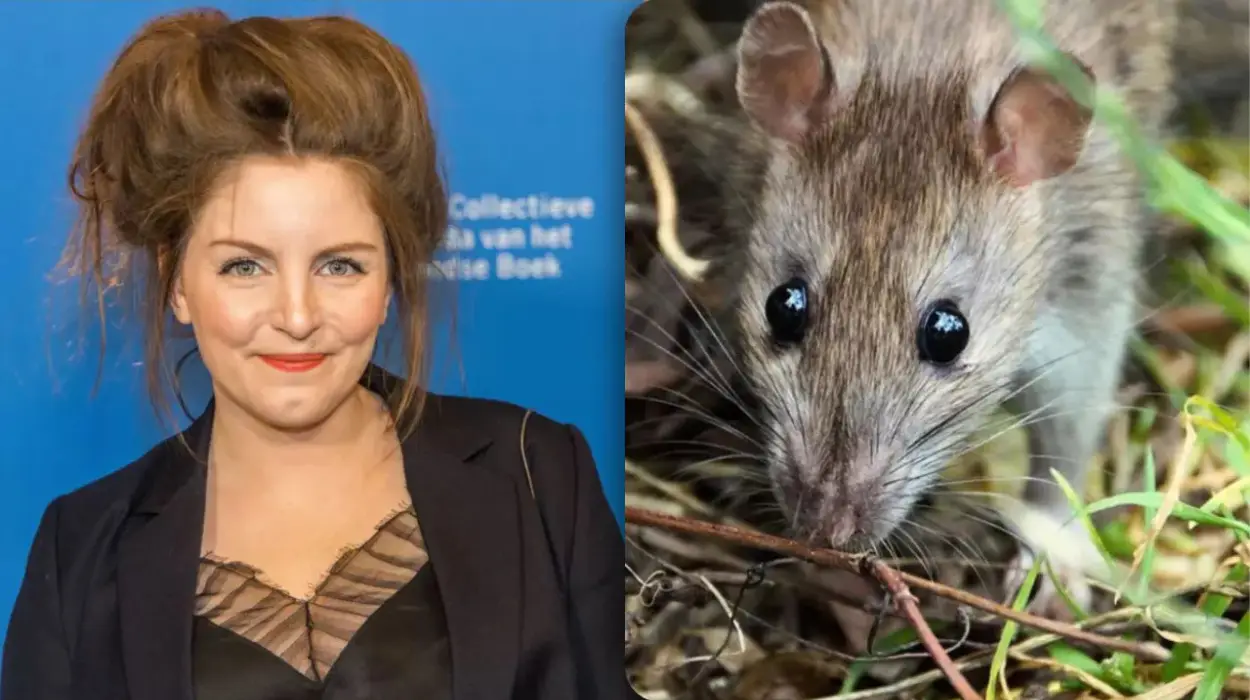 Lize Spit’s Footage of Rats in Anderlecht Sparks Concerns