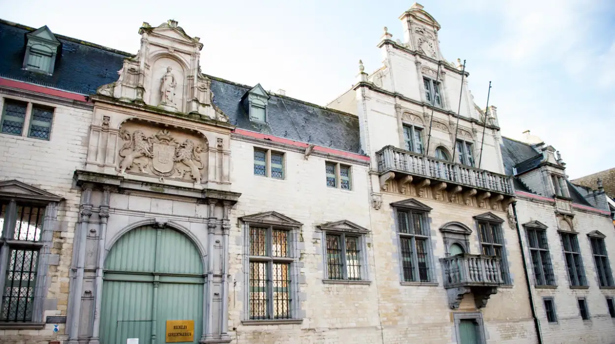 Mechelen Mother and Son Sentenced to Two Years for Abuse