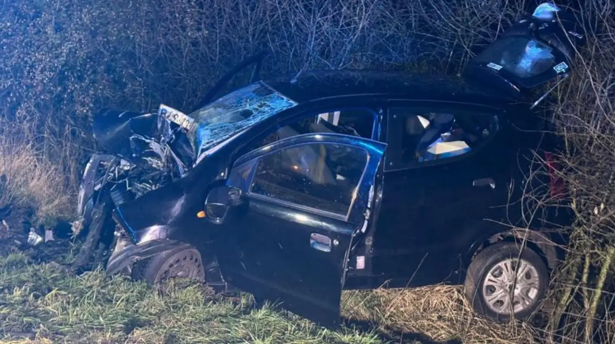 Motorist Killed in Collision on Avenue de Criel, Belgium