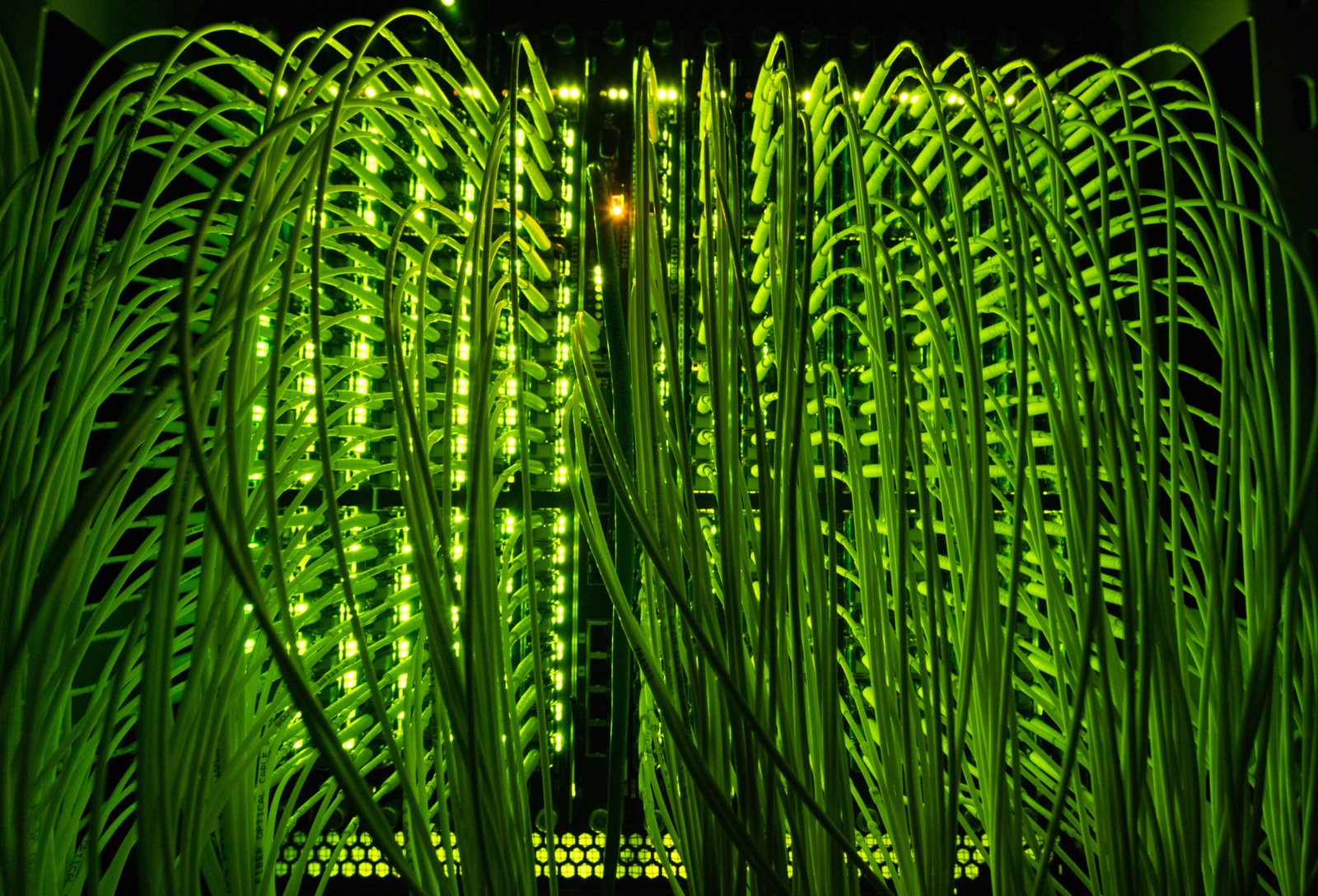 New EU Regulation on Digital Resilience for Financial Institutions Takes Effect