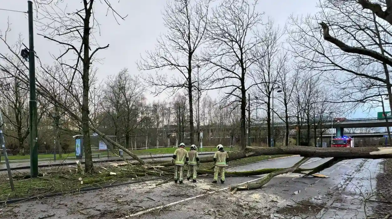 Storm Floriane Triggers Injuries and Alerts Across Belgium