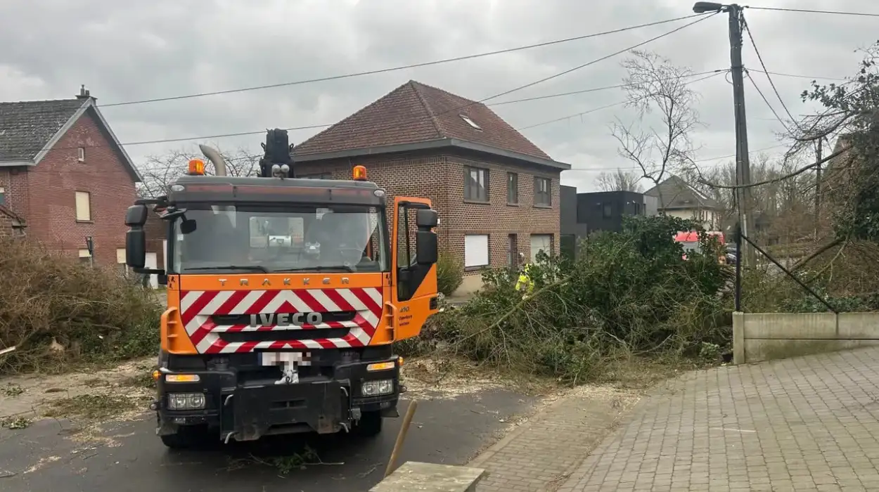 Storms Trigger 54 Emergencies in Flemish Brabant on January 1