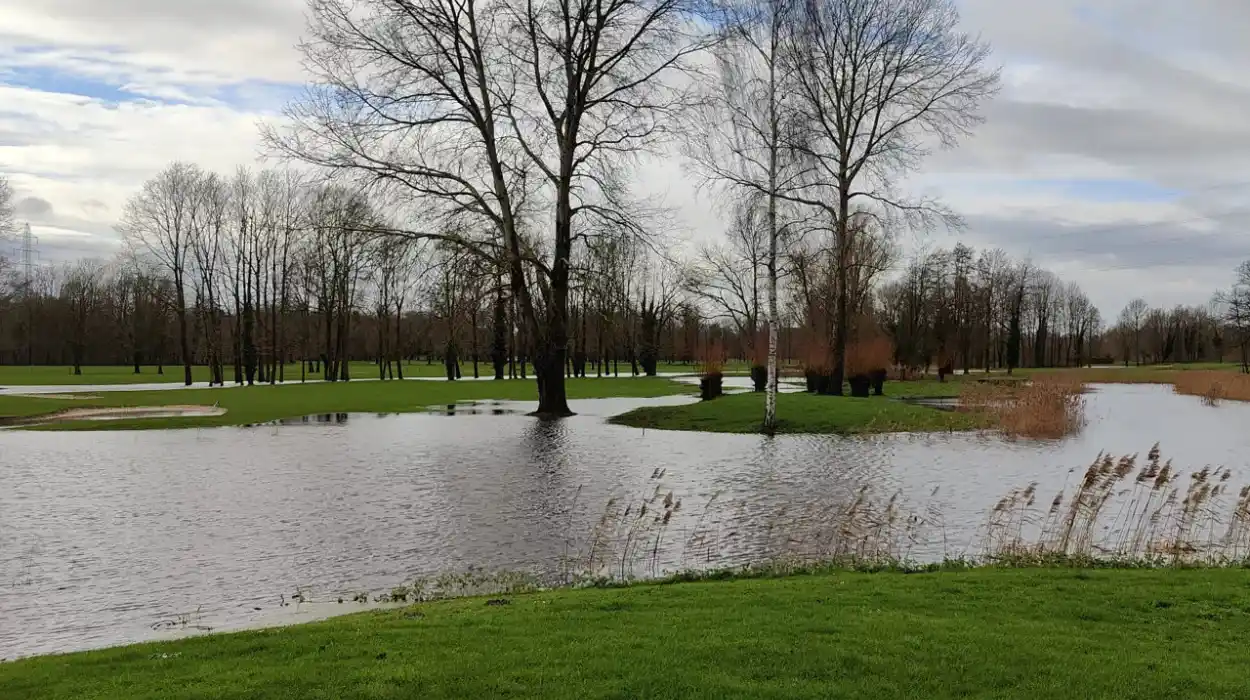 Water Levels in Hasselt Surpass Safety Limits