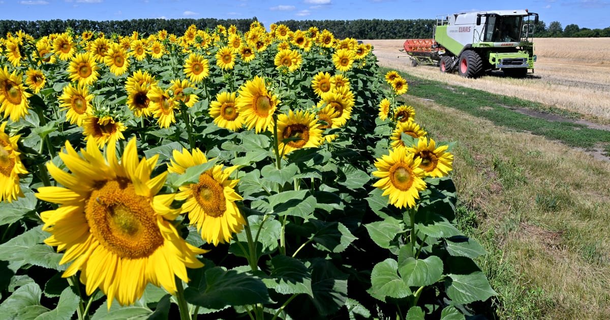 Czech Farmers Head New EU Border Protests Against Ukraine and Latin American Trade Deals