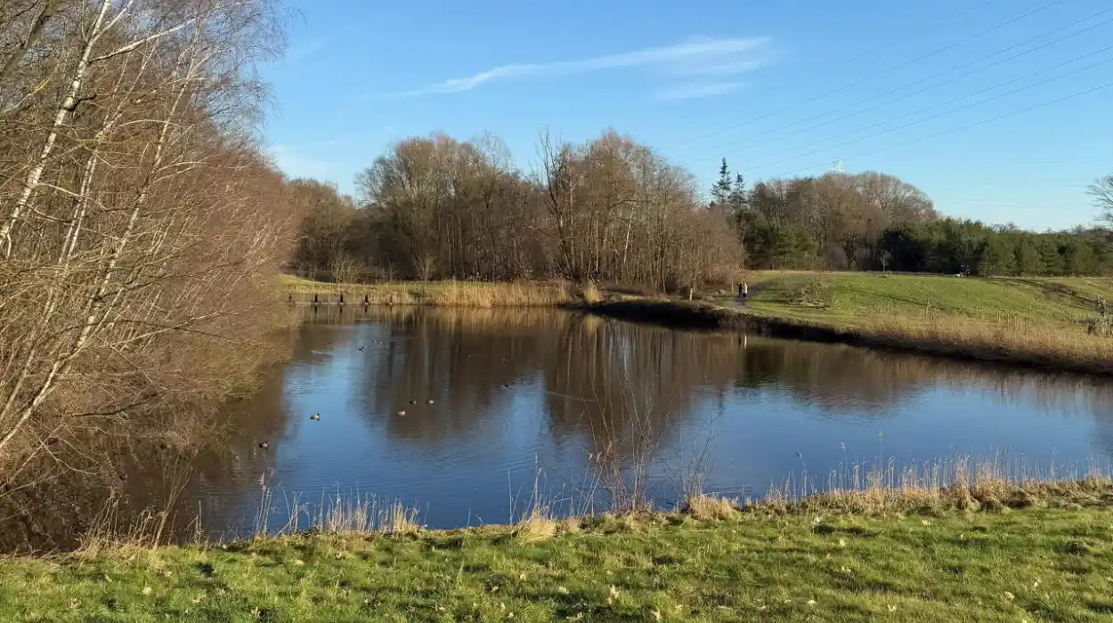 Genk to Transform Thor Lake into a Swimming Oasis by April 2025