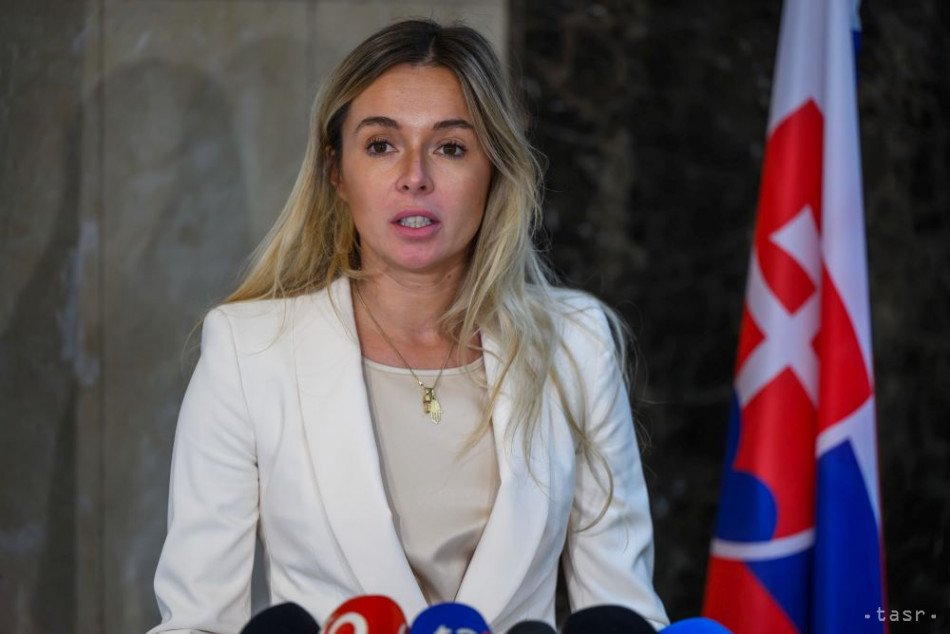 Government Representative Highlights NGO Financing and Regulation in Slovakia, Upholding EU Law