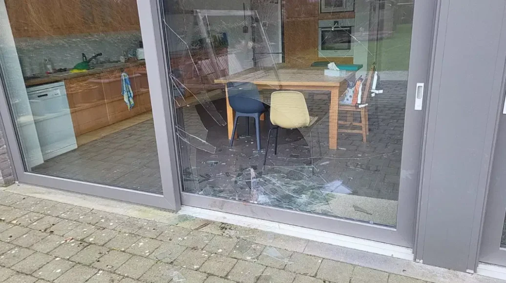 Hunted Boar Smashes Through Leefdaal Window: “Only 2 Meters Away!”