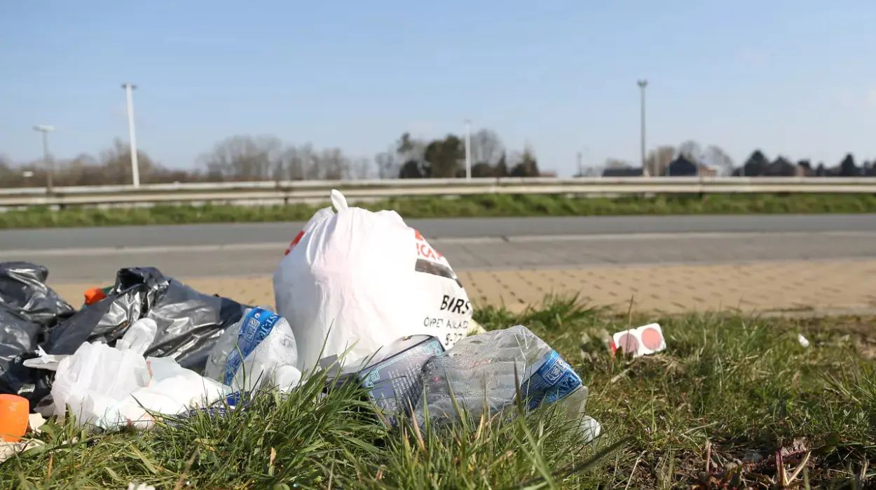 Litter Fines Tripled Since 2020 as Tobacco Firms Face €25.5M Bill