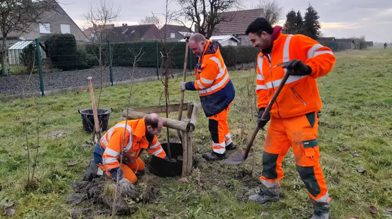 Ostend Enhances Green Spaces with 500 Trees and 20,000 Shrubs