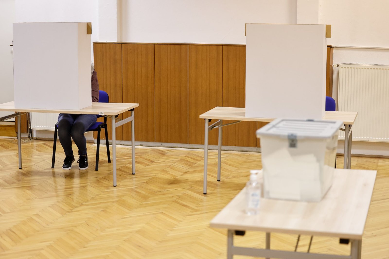 Slovenia Joins Countries Urging Brussels to Safeguard European Elections from Foreign Interference